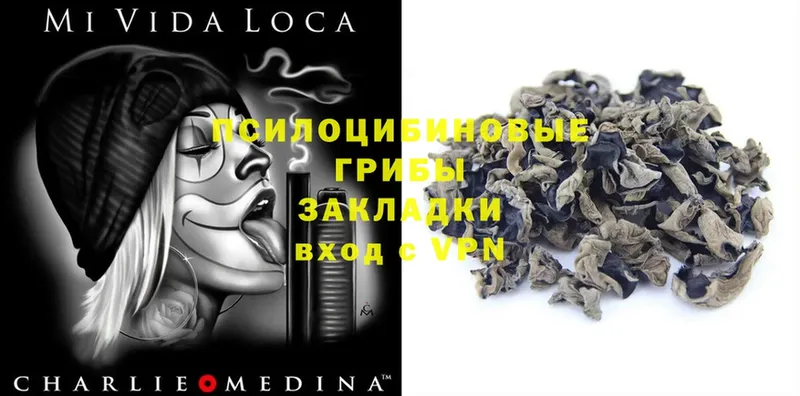 Псилоцибиновые грибы GOLDEN TEACHER  Жирновск 